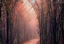 开云体育-法国乒乓球队惊天逆转波兰，马龙单骑救主彰显传奇实力