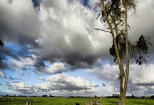 开云官网-法国男篮鏖战魔术，瓦兰丘纳斯送出助攻——篮球场上的绚丽瞬间