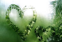 开云下载-法国羽毛球队横扫印尼羽毛球队，谌龙三分雨点燃全场