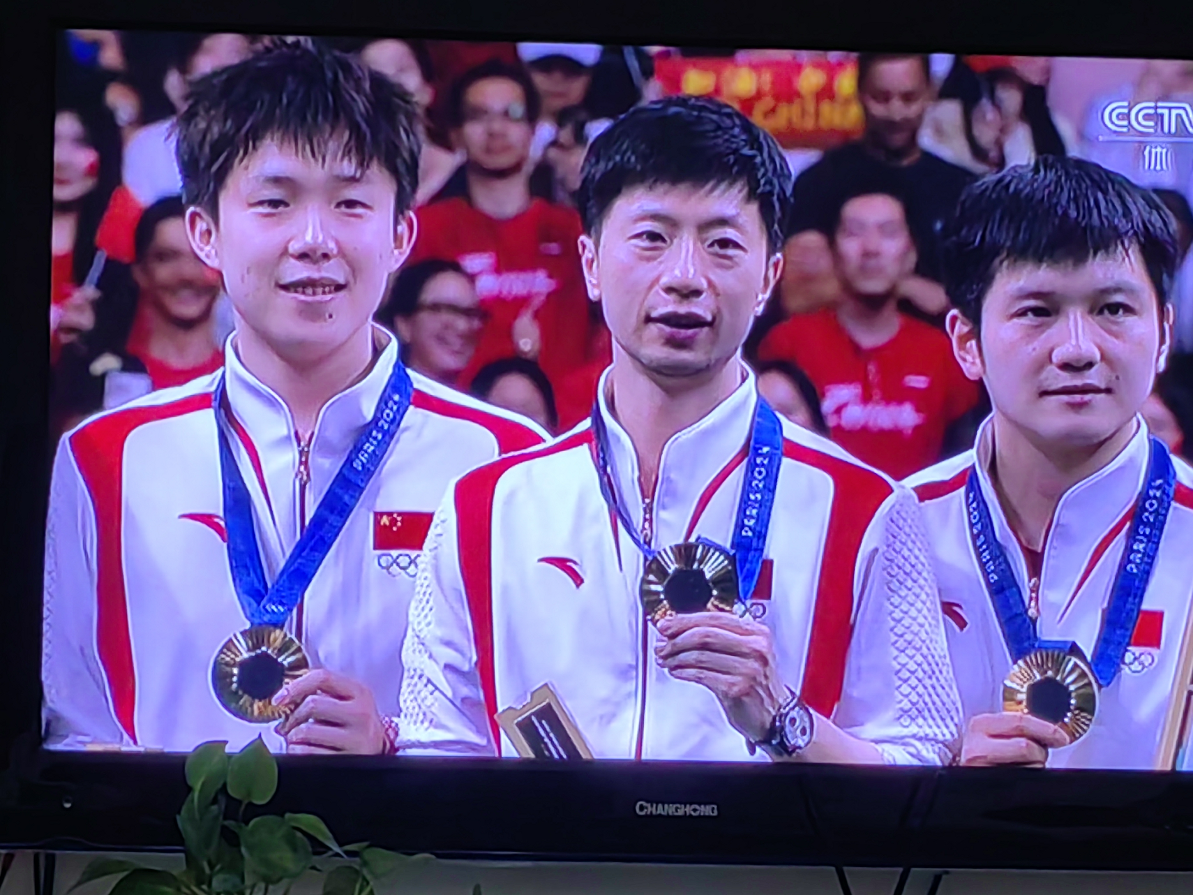 开云足球直播-中国乒乓球队力克瑞典乒乓球队，波尔制霸全场的简单介绍