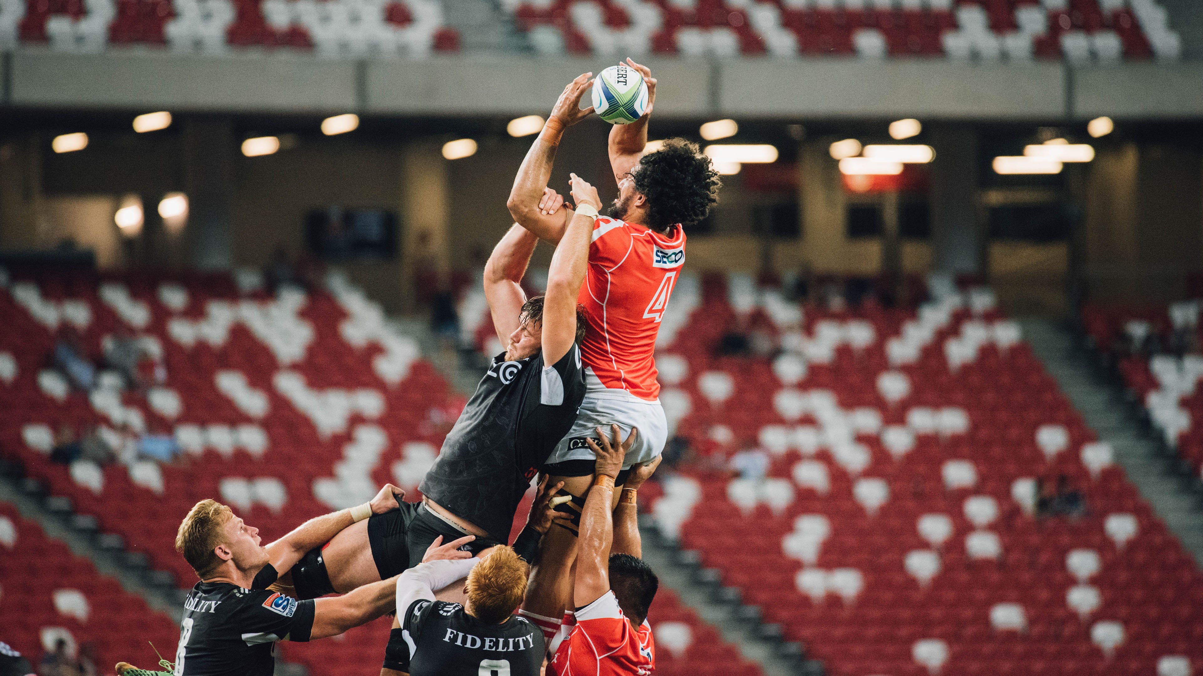 德甲争冠焦点战，公牛速胜猛龙，拜仁多特上演双龙斗牛